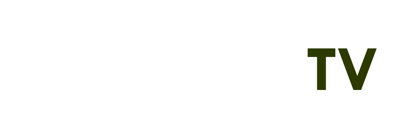 truc tiep dá gà